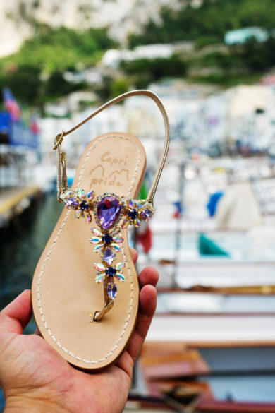 CAPRI