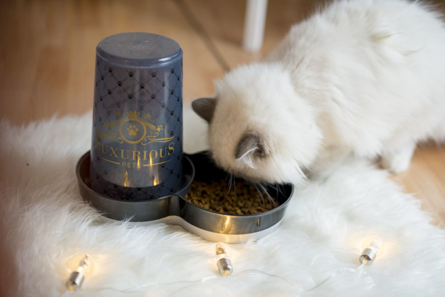 Miska Magic Cat Luxurious na krmení 1,5L